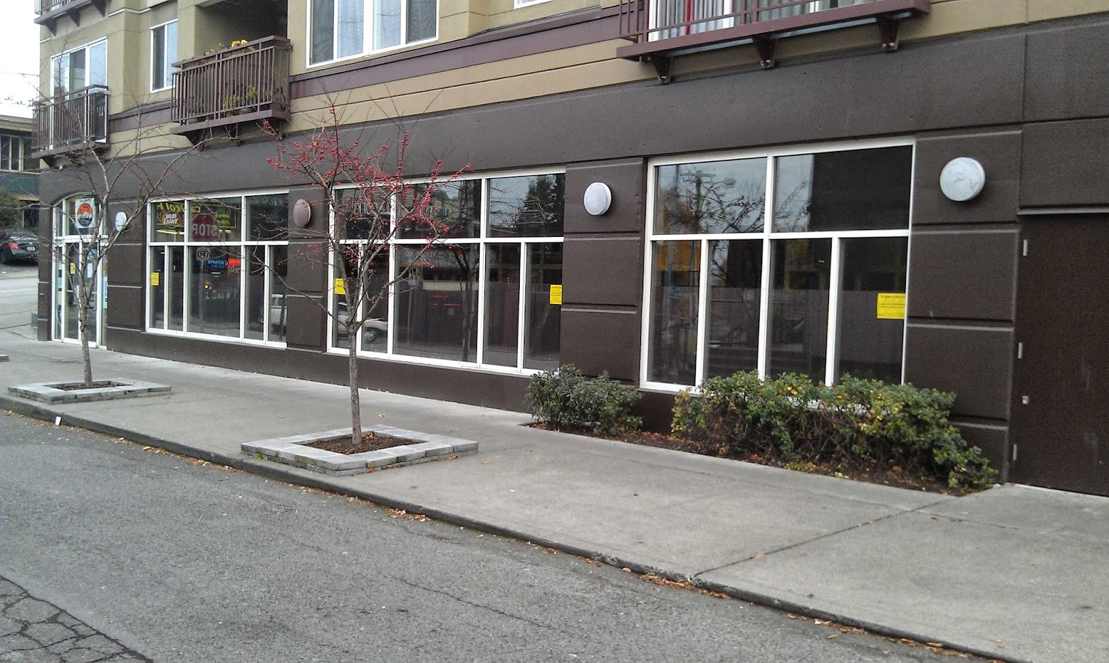 CC's Seattle