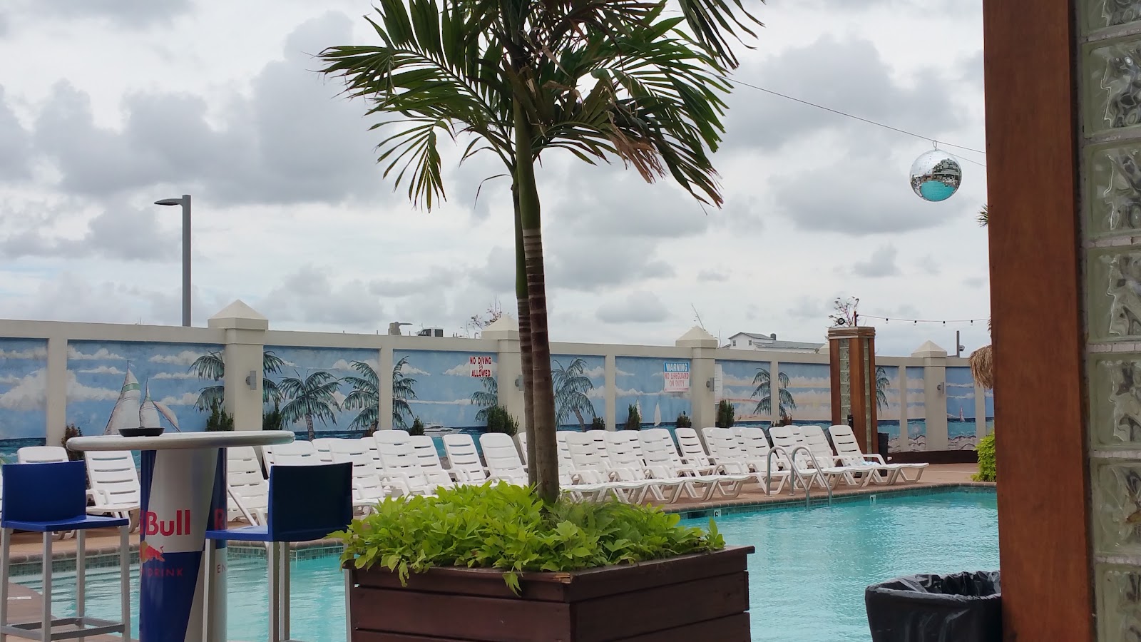 Paradise — photo 3