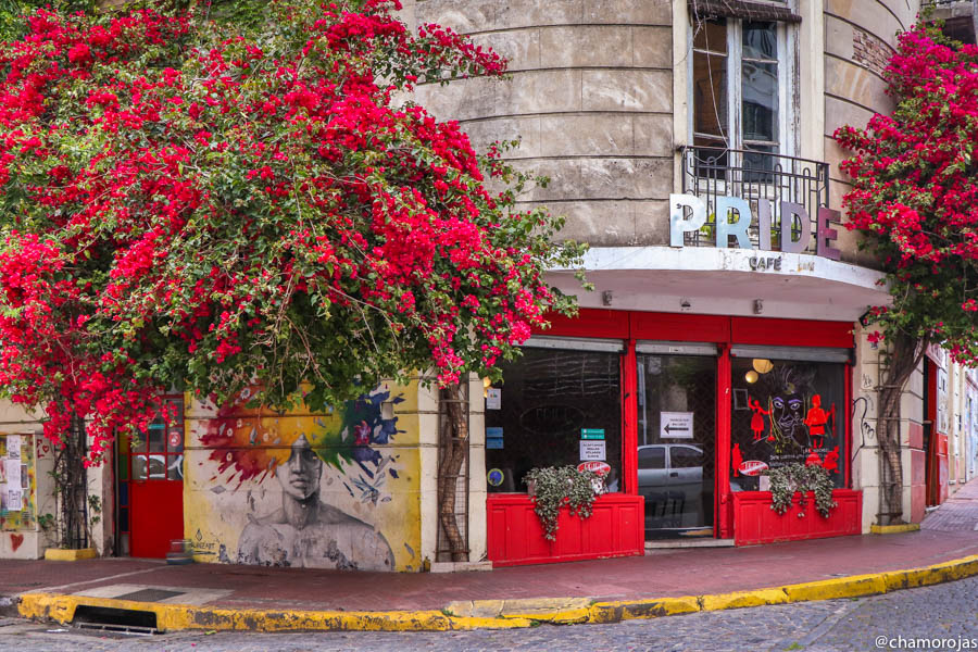 Pride Café — photo 4