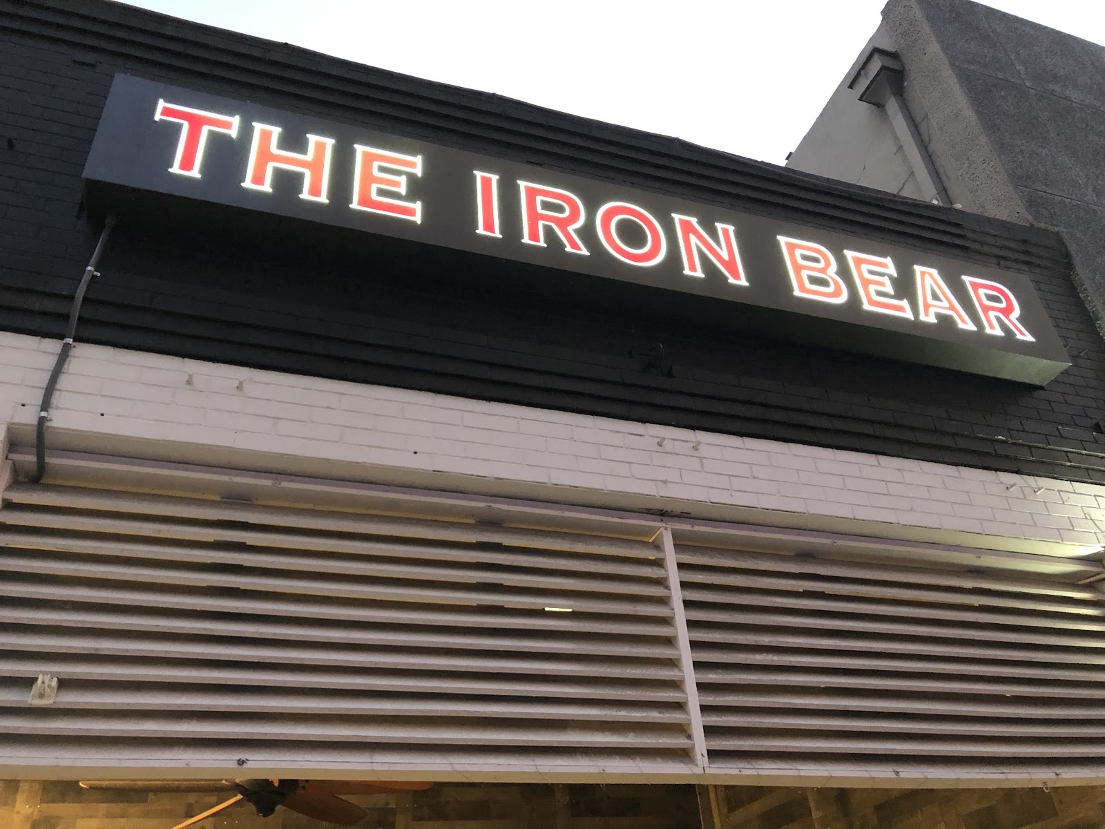 The Iron Bear — photo 5