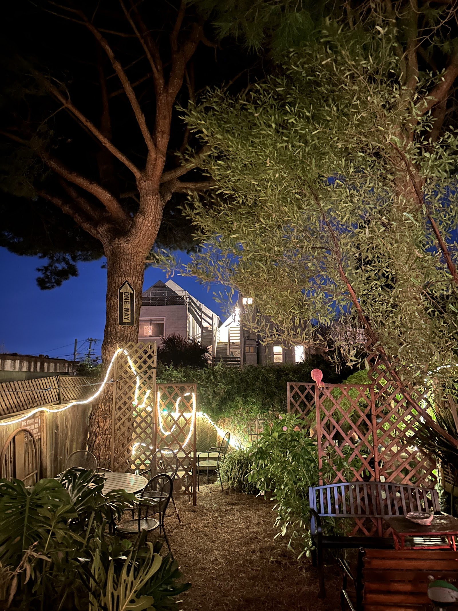 Wild Side West — photo 3