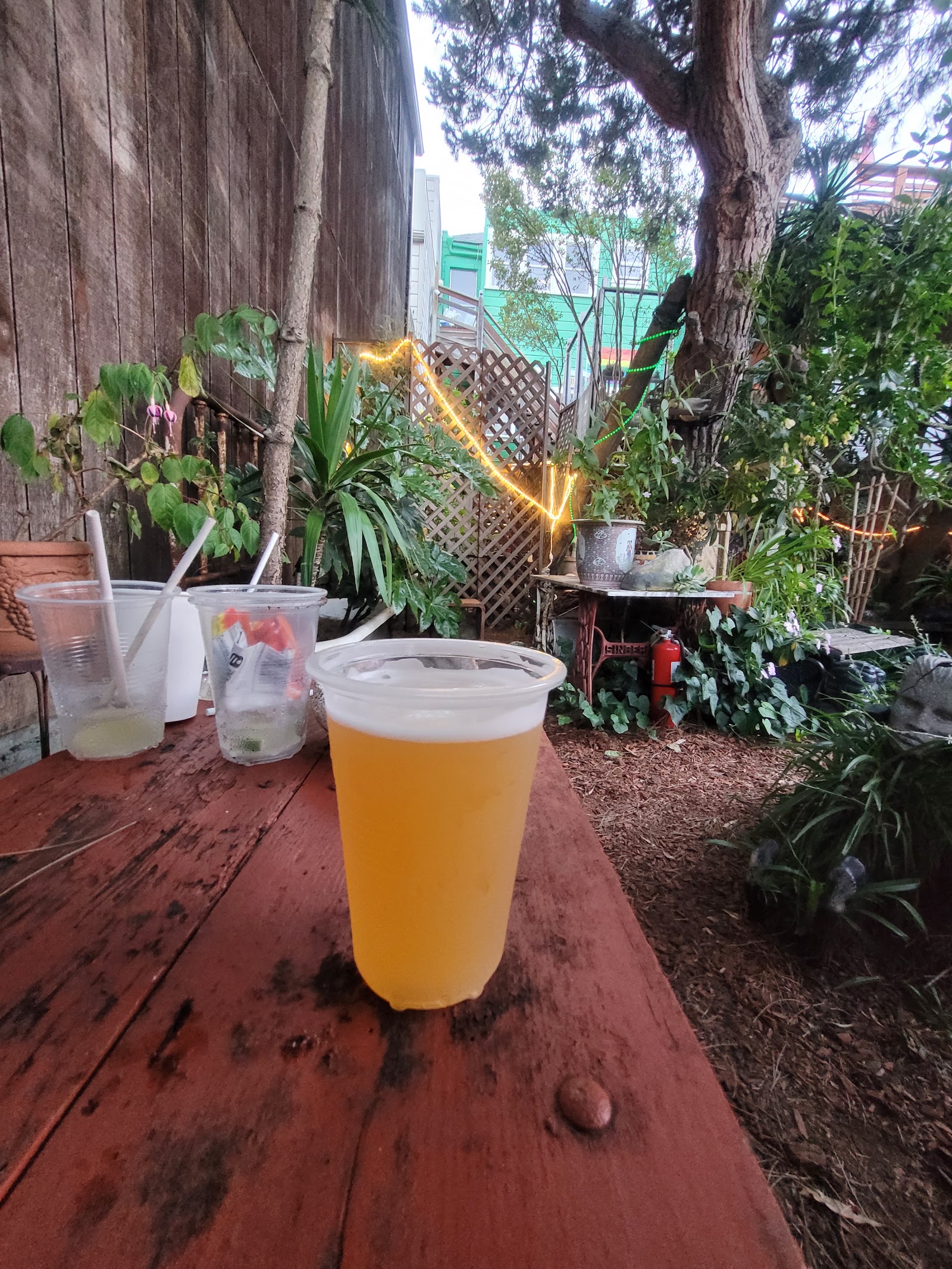 Wild Side West — photo 5
